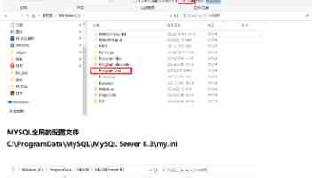 仓储物流企业：创新驱动，打造高效智能物流新生态