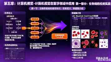 深中一体化要“通道”，更要“同道”